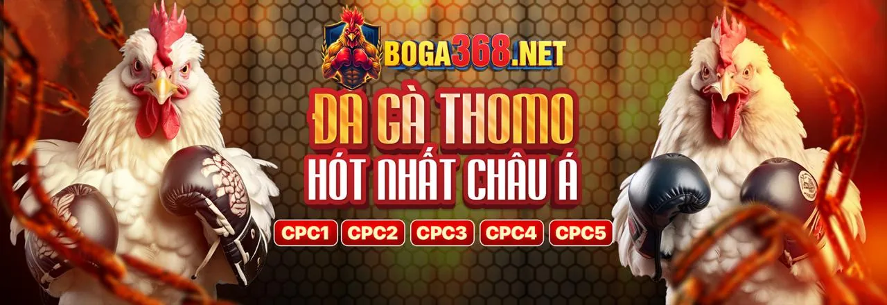 Ưu Đãi Hấp Dẫn 3in1bet Code 2026