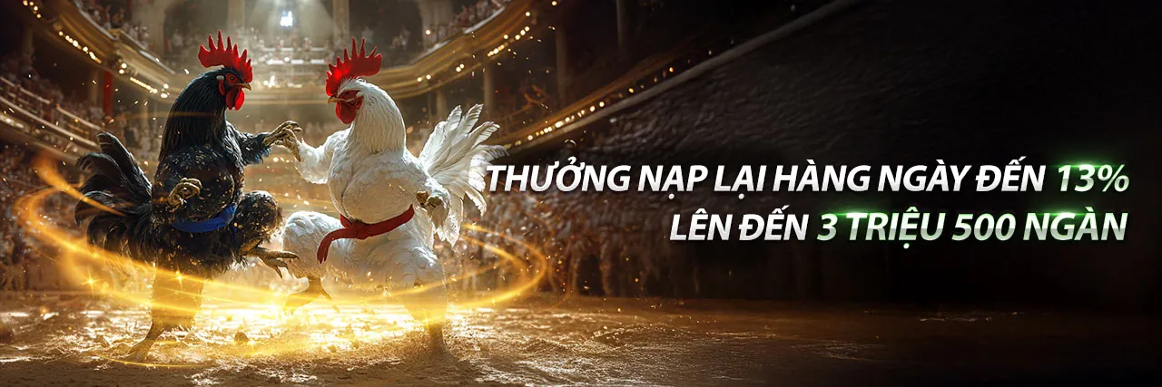 Hình ảnh chính của Blog 3in1bet code