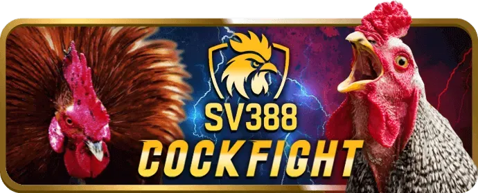 Thưởng và Khuyến mãi độc quyền cho VIP 3in1bet code
